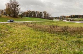 Grundstück zu kaufen in 4323 Münzbach, Mein Baugrund in Münzbach: nur mehr 1 Baugrund verfügbar-Neuer Preis!