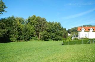 Grundstück zu kaufen in Rosental 68, 2500 Siegenfeld, - UNI-Real - machen Sie Ihr Angebot -