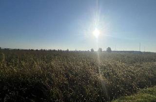 Gewerbeimmobilie kaufen in Seiersberg, 8054 Seiersberg, Gewerbegrundstück in sehr frequentierter Lage nahe der Autobahn in Seiersberg