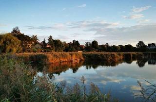 Grundstück zu kaufen in 2332 Hennersdorf, Hennersdorf bei Wien - Großzügiges Seegrundstück für Ihr Traumhaus direkt am Wasser | Hennersdorf near Vienna - Spacious lakeside plot for your dream home right on the water