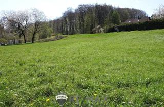 Grundstück zu kaufen in 3004 Ried am Riederberg, " BAULAND ohne Bauzwang - Leben im Wienerwald "