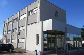 Büro zu mieten in Erlaaer Straße, 1230 Wien, Hochwertige Büroflächen nahe U6 Erlaaer Straße