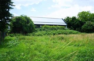 Grundstück zu kaufen in 3133 Traismauer, BAUGRUNDSTÜCK FÜR BAUTRÄGER ODER EIGENHEIM IN SONNIGER LAGE