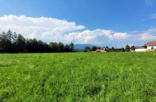 Grundstück zu kaufen in 9500 Dobrova, Ebenes Grundstück in sonniger Lage nahe Villach und Infineon.