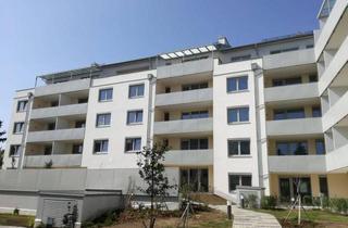 Wohnung mieten in Oserstraße/Mitschastraße, 2130 Mistelbach, Mistelbach X/1 amp; X/2 - LZ 1720 / 2370 - Top 202