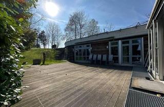 Haus kaufen in 4501 Neuhofen an der Krems, NEUHOFEN / KREMS: Modernes ARCHITEKTEN -WOHNHAUS ca. 221 m2 Wohnfläche + XL-GARAGE, Grundstücksfläche ca. 1.707m2