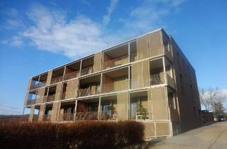 Wohnung mieten in 7083 Purbach am Neusiedler See, Warmmiete incl. Heizung - Repräsentative Mietwohnung mit Küche und unverbaubarem Seeblick in ruhiger Lage!