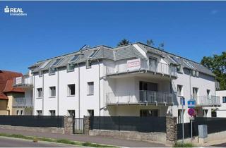 Wohnung kaufen in 3423 Wördern, Wohnen auf höchstem Niveau – Erstbezugswohnungen mit Qualität & Stil