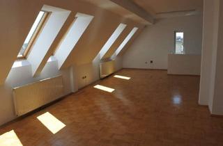 Wohnung mieten in Wallensteinplatz, 1200 Wien, Dachterrassenwohnung mit traumhaften Fernblick