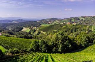 Grundstück zu kaufen in 8442 Einöd, Verwandlung von Grünland in Wein- und Urlaubsparadies