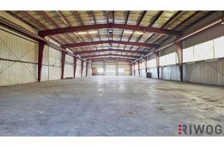 Immobilie mieten in 2301 Groß-Enzersdorf, 900m² Produktionshalle mit optionalen Freiflächen und Büros