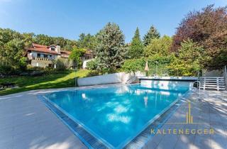 Villen zu kaufen in 2392 Sulz im Wienerwald, Traumgrundstück mit 320 m² Villa, großem Pool und Fernblick