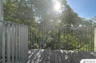 Wohnung kaufen in Canisiuskirche, Volksoper, Sanatorium Hera, Nussdorfer Straße, 1090 Wien, Sanierungsbedürftige Garconniere - westseitige Terrasse