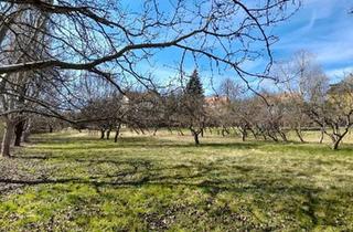 Grundstück zu kaufen in 8230 Hartberg, Sonniger Baugrund im Kerngebiet, Gewebe- und Wohnnutzung