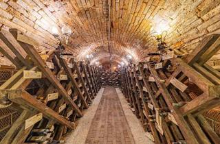 Gewerbeimmobilie kaufen in 2020 Hollabrunn, DIE LOCATION FÜR FIRMENEVENTS & PRIVATE FEIERN IN EINEM BESONDEREN AMBIENTE! INKLUSIVE WOHNBEREICH!