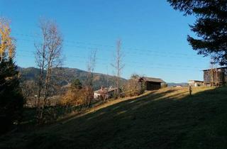 Grundstück zu kaufen in 8662 Mitterdorf im Mürztal, Vielseitiges Grundstück in idyllischer Lage südlich von Wartberg