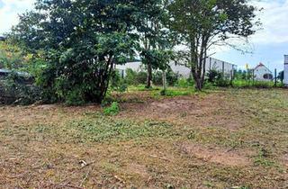 Grundstück zu kaufen in 8263 Großwilfersdorf, Großer, ebener Baugrund, bebaubar 0,2 - 0,4