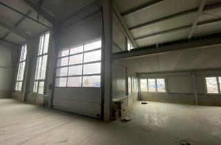 Büro zu mieten in 2102 Bisamberg, Multifunktionale Gewerbehalle