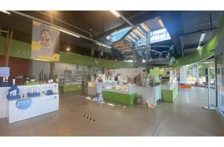 Büro zu mieten in 2102 Bisamberg, Vielseitig verwendbares Gewerbeobjekt zu mieten!