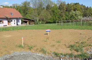 Grundstück zu kaufen in 8324 Kirchberg an der Raab, Grundstück 4: Aufgeschlossener und sonniger Baugrund im Grünen