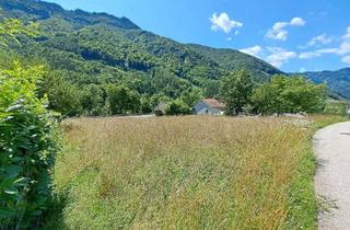 Grundstück zu kaufen in 4462 Reichraming, 1.397 m² Baugrund ohne Bauzwang - Reichraming / Ennstal, Nationalpark Kalkalpen