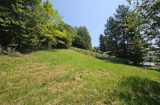 Grundstück zu kaufen in 9800 Spittal an der Drau, Kompaktes Baugrundstück in Stadtrandlage