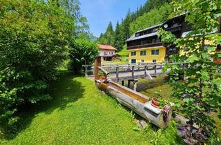 Gewerbeimmobilie kaufen in 9565 Ebene Reichenau, Wundervolles Ambiente am Fluss