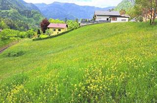 Grundstück zu kaufen in 3335 Weyer, 1704 m² Bauland ohne Bauzwang + 1.282 m² Grünland in einer Eckparzelle vereint - Weyer