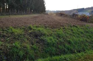 Grundstück zu kaufen in 7551 Stegersbach, NEUER PREIS Baugrundstück