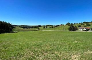 Grundstück zu kaufen in 7540 Güssing, Schöner sonniger Baugrund im SÜDBURGENLAND