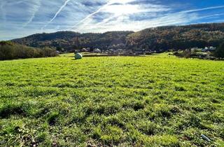 Grundstück zu kaufen in 8054 Graz, NEUER PREIS! Freilandgrundstück mit großem Potential für langfristiges Investment in Graz!