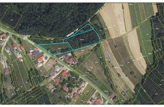 Grundstück zu kaufen in 7501 Oberdorf im Burgenland, sonniges Grundstück OHNE BAUZWANG