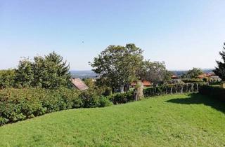Grundstück zu kaufen in 8472 Straß in Steiermark, Wunderschöner Baugrund in den Weinbergen mit erstklassiger Aussicht