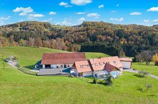 Gewerbeimmobilie kaufen in 8302 Nestelbach bei Graz, Landwirtschaft in idyllischer Südwest-Hanglage