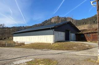 Lager mieten in Glantschach, 9556 Liebenfels, Lagerflächen von 16 m² bis 380 m² zu vermieten
