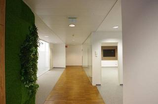 Büro zu mieten in Dresdner Straße 68, 1200 Wien, Großzügiges 183 m² Büro nahe Millenium Tower zu vermieten -Provisionsfrei!