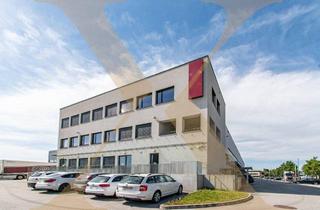 Büro zu mieten in 4060 Leonding, Attraktive Bürofläche mit ca. 250 Parkplätzen und großzügigen Außenflächen im Leondinger Gewerbegebiet zu vermieten!