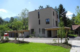 Gewerbeimmobilie kaufen in 4644 Scharnstein, "Weihnachtsangebot" bis 31. 12. 2025 - HALBER PREIS - Historischer, renovierter Keller mit eigenem Außeneingang und LIFT und HEIZUNG !