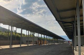 Immobilie mieten in Gewerbepark Draubogen 13-15, 9162 Kirschentheuer, Carport Parkplätze