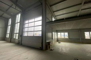 Büro zu mieten in 2102 Bisamberg, Multifunktionale Gewerbehalle