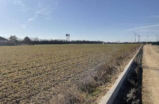 Grundstück zu kaufen in 2425 Nickelsdorf, 3000 - 10.000 m² Betriebsbaugrund zu kaufen