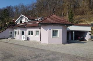 Büro zu mieten in 4523 Neuzeug, BÜRO UND ORDINATION