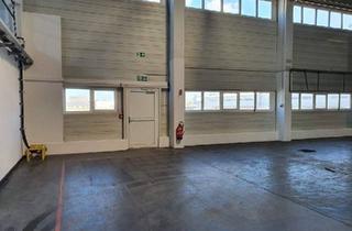 Gewerbeimmobilie mieten in 7011 Siegendorf, Zur Vermietung gelangt eine Lagerhalle mit ca. 700 m² Gesamtfläche in Siegendorf nahe Eisenstadt - Sopron