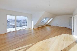 Penthouse kaufen in Pastorstraße 28, 1210 Wien, Moderne 4-Zimmer Penthouse-Wohnung mit extra viel Platz für ganz viel Extravaganz