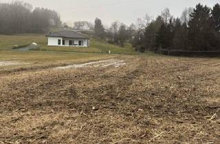 Grundstück zu kaufen in 7543 Kukmirn, Sonniger Baugrund mit angrenzender Freifläche in ruhiger Lage