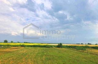 Agrarfläche kaufen in 7111 Parndorf, Ertragreiche landwirtschaftliche Nutzfläche, biologische Landwirtschaft