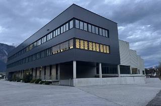 Lager mieten in 6060 Hall in Tirol, großzügige Produktionsfläche zur Miete - Variante 1