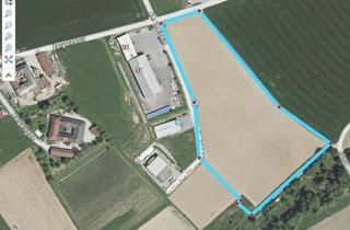 Grundstück zu kaufen in 4600 Thalheim bei Wels, Betriebsbaugrund im Gewerbepark Thalbach Thalheim bei Wels möglich.B Widmung auch für Logistiker