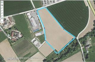 Grundstück zu kaufen in 4600 Wels, Betriebsbaugrund im Gewerbepark Thalbach Thalheim bei Wels möglich.B Widmung auch für Logistiker