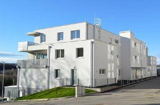 Wohnung mieten in Wienerwaldstraße, 3033 Altlengbach, Top2/3-Erstbezug-2Zi-EG-Loggia-2PKW-Einstellplätze